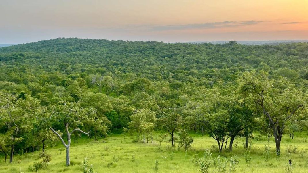 La forêt du domaine du N'Zi River Lodge, non loin de Bouaké (Côte d'Ivoire).