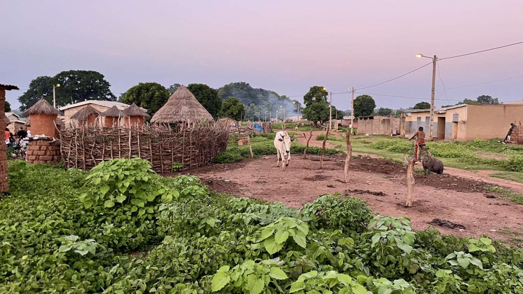 Village de Gnafoin (nord de la Côte d'Ivoire) @Olivia Le Sidaner